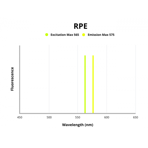 Fluorescence emission spectra of RPE.