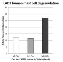 Biotinylated human IgE and streptavidin trigger degranulation  of  LAD2 human mast cells. LAD2 cells were sensitized overnight with 0.1 ug/ml biotinylated human IgE (Abbiotec Cat. No. 250206). Cells were incubated with streptavidin (SA) for 30 min at 37C. Degranulation was monitored by beta-hexosaminidase release into the supernatant calculated as a percentage of total content. Data kindly provided by Prof. Fernando de Mora, University of Barcelona, Spain.