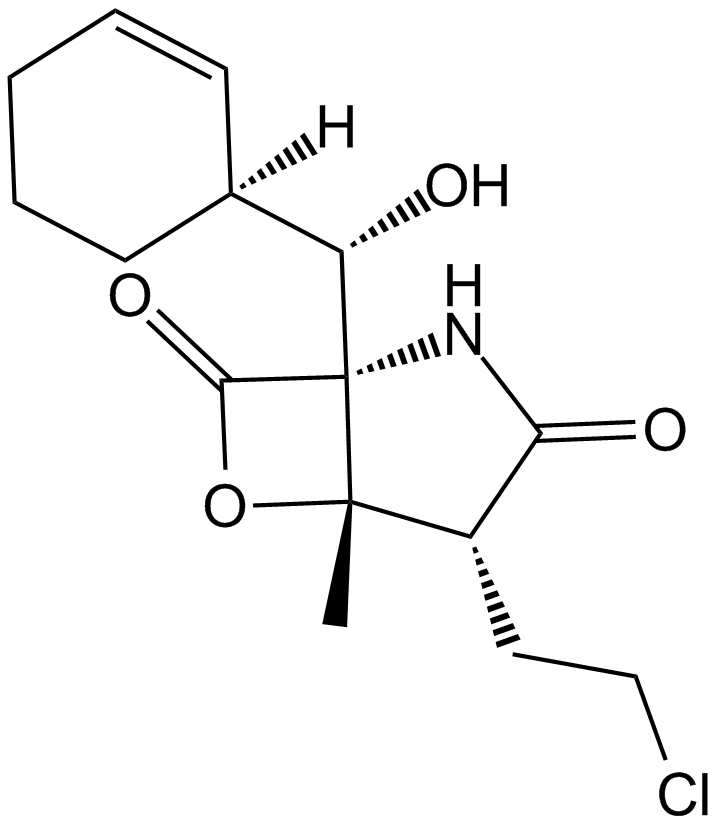 Salinosporamide A (NPI-0052, Marizomib)