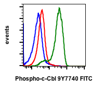 Phospho-c-Cbl (Tyr774) (R3B8) rabbit mAb FITC conjugate Antibody