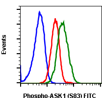 Phospho-Ask1 (Ser83) (G4) rabbit mAb FITC conjugate Antibody