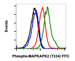 Phospho-MAPKAPK2 (Thr334) (H2) rabbit mAb FITC conjugate Antibody
