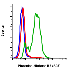Phospho-Histone H3 (Ser28) (D6) rabbit mAb FITC conjugate Antibody