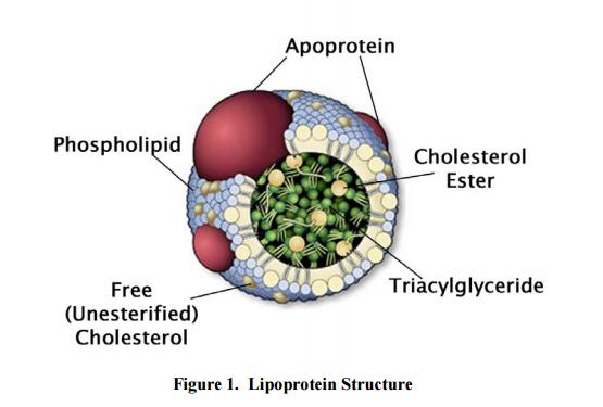 MBS168251-192 | HDL and LDL/VLDL Cholesterol Assay Kit Hexabiogen