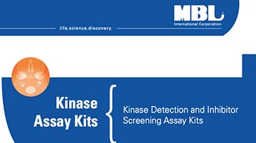 Brochure: Kinase Assay Kits