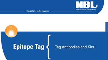 Brochure: Tag Antibodies