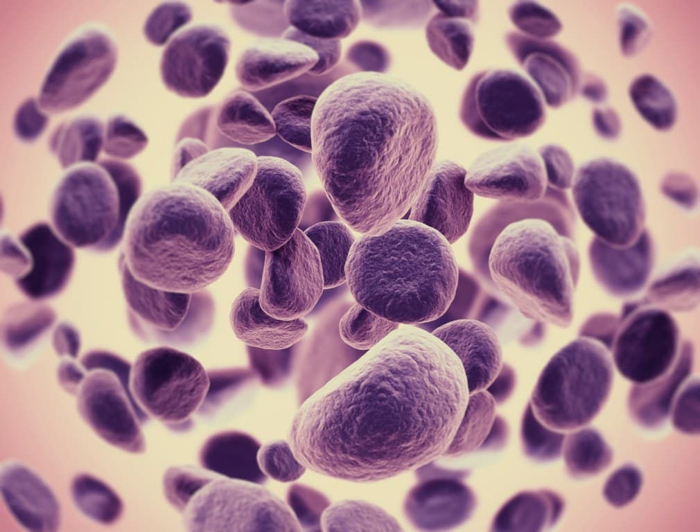 tumor-cells-2