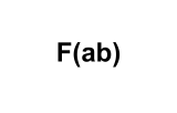 F(ab)