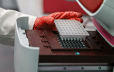Kits de détection des mycoplasmes - Mix PCR prêt-à-l'emploi