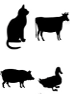 Tissus non murins