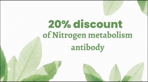 20% de réduction sur les anticorps du métabolisme de l'azote