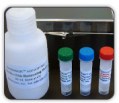 Coffrets de dosage de l'apoptose médiée par les caspases