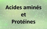 Acides aminés et protéines