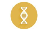 ADN polymérases pour PCR haute-fidélité