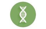 Kits pour la quantification de banques Illumina®