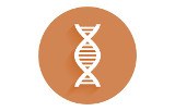 Master Mix pour la quantification de banques Illumina®