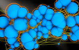 Culture cellulaire 3D