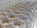 Offre spéciale sur les kits ELISA Elabscience