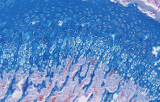 Taches spéciales histologiques