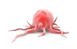 Kits de qPCR pour le diagnostic en oncologie