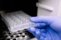 WEBINAR : Découvrez comment utiliser les hydrogels à température ambiante !
